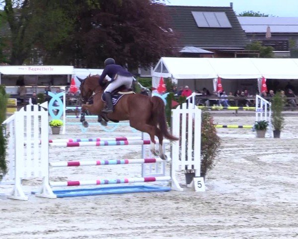 Reitturnier Looperholz 2025