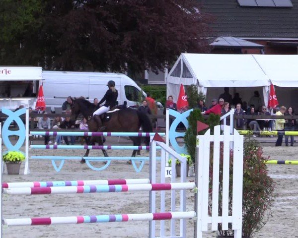 Reitturnier Looperholz 2025