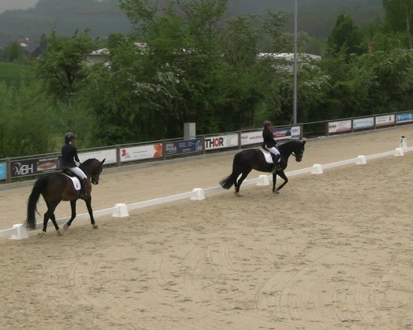 Reitturnier Uder, Reitanlage Kobold 2025