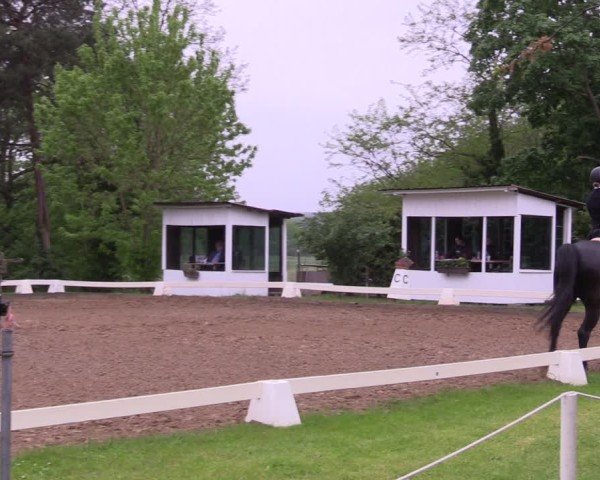Reitturnier Teupitz 2025