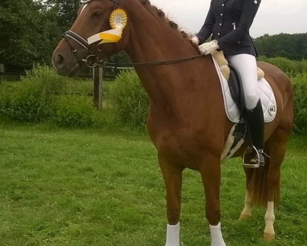dressage horse Fannie Maye (Westphalian, 2014, from Fürst Larino)