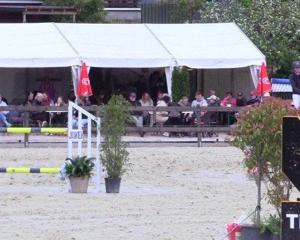 Reitturnier Looperholz 2025
