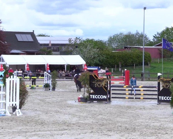 Reitturnier Looperholz 2025