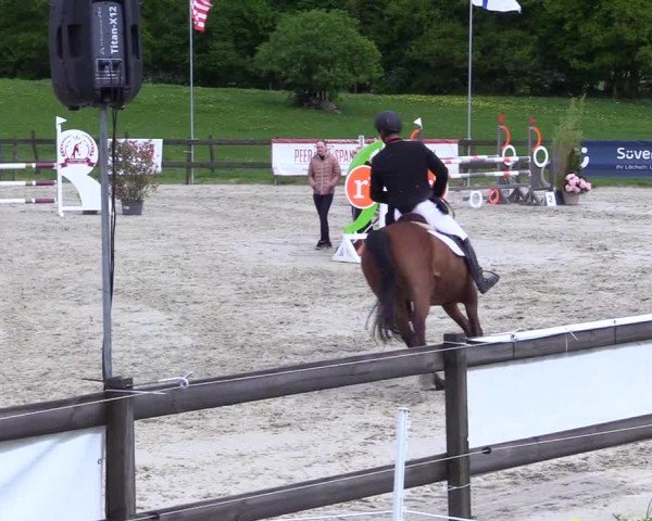 Reitturnier Looperholz 2025