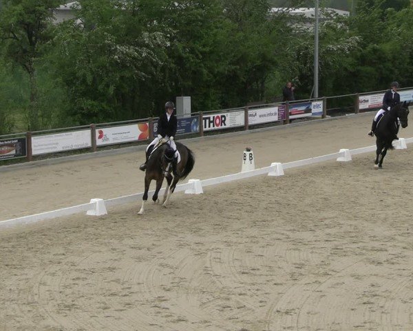 Reitturnier Uder, Reitanlage Kobold 2025