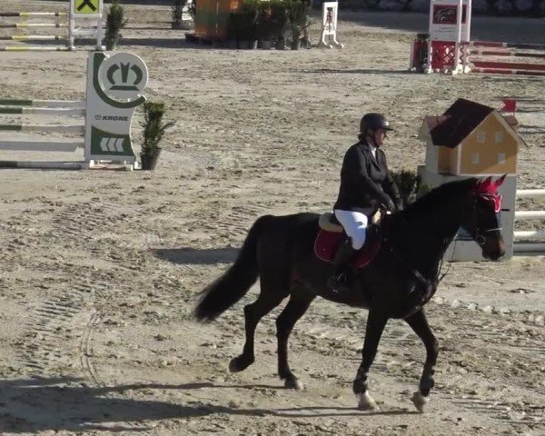 Reitturnier Preding 2025