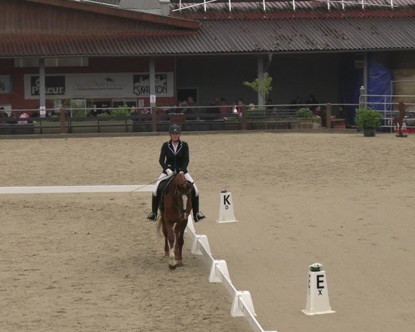 Reitturnier Uder, Reitanlage Kobold 2025