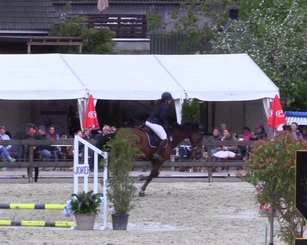Reitturnier Looperholz 2025