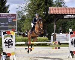 jumper Quintana Z (German Warmblood, 2012, from Qui Maro)