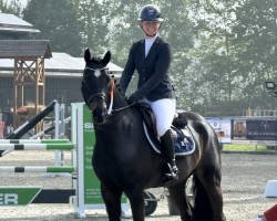 Springpferd Crismo (Westfale, 2020, von Cornet Obolensky)