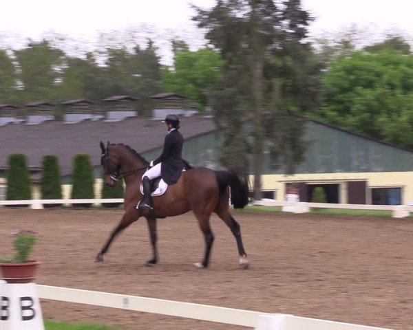 Reitturnier Teupitz 2025