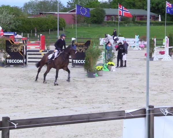 Reitturnier Looperholz 2025