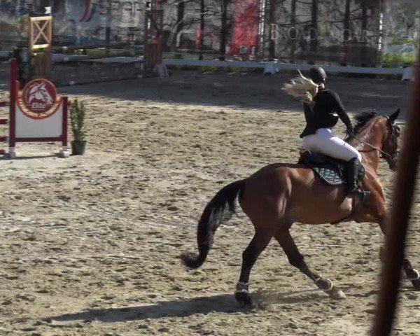 Reitturnier Preding 2025