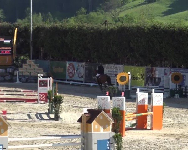 Reitturnier Preding 2025