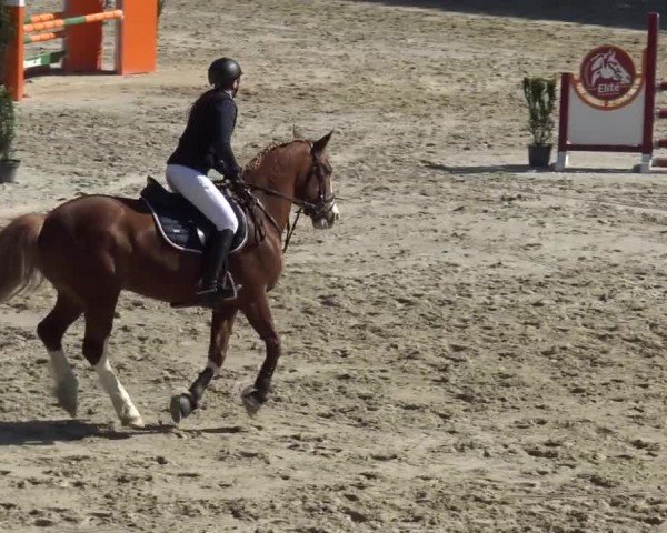 Reitturnier Preding 2025