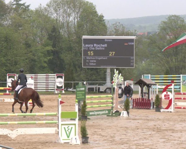 Reitturnier Büren 2025