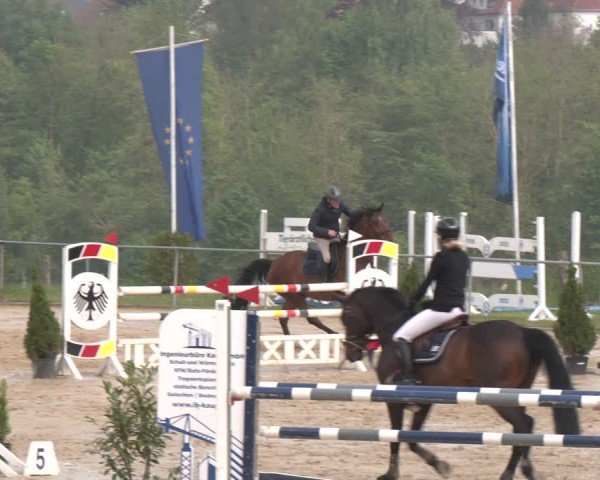 Reitturnier Büren 2025