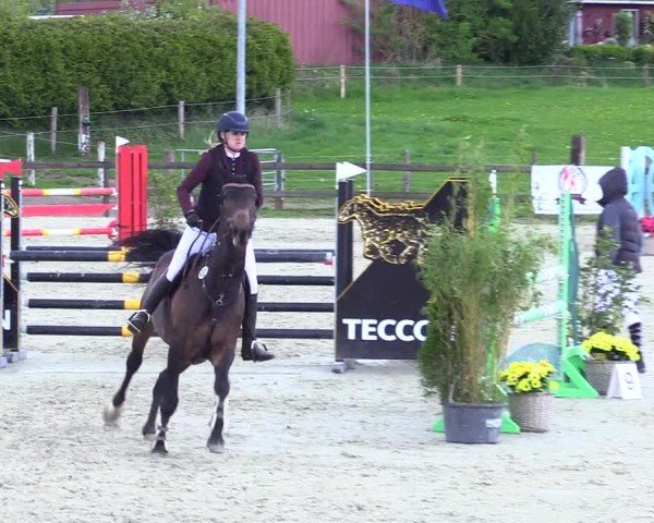 Reitturnier Looperholz 2025