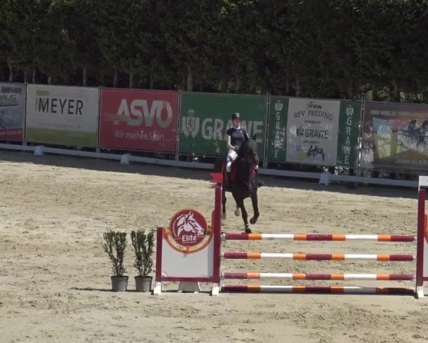Reitturnier Preding 2025