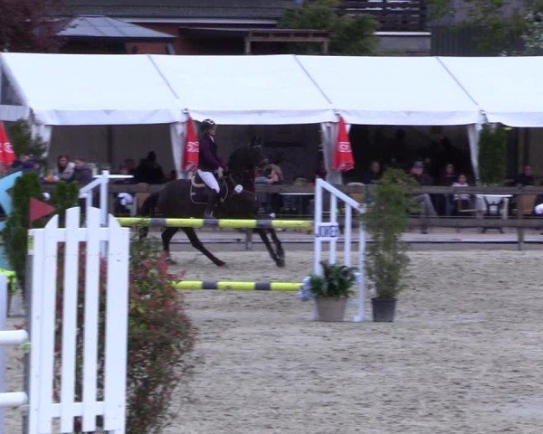 Reitturnier Looperholz 2025