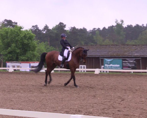 Reitturnier Teupitz 2025