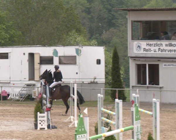 Reitturnier Büren 2025