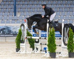 jumper Picasso 834 (Rhinelander, 2012, from Perigueux)