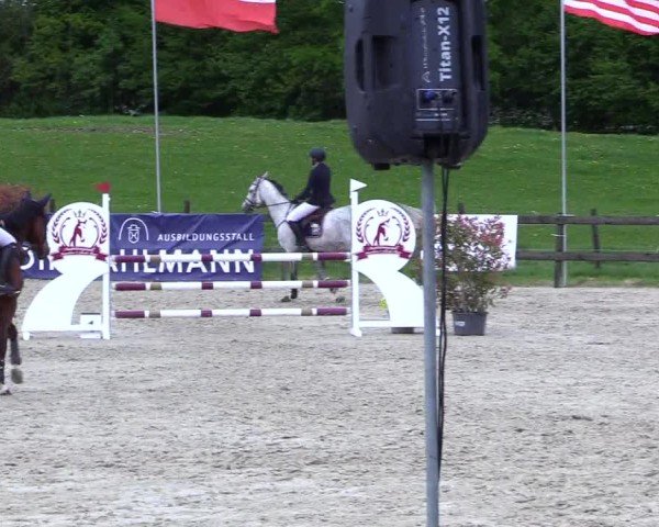 Reitturnier Looperholz 2025