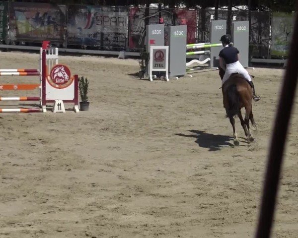Reitturnier Preding 2025