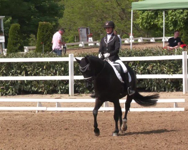 Reitturnier Teupitz 2025