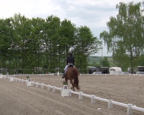 Reitturnier Landenhausen 2025