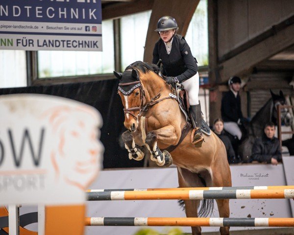 jumper Nielotti (KWPN (Royal Dutch Sporthorse), 2018, from Eldorado van de Zeshoek)