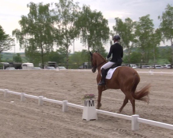 Reitturnier Landenhausen 2025