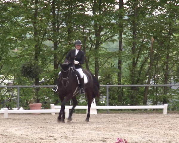 Reitturnier Landenhausen 2025