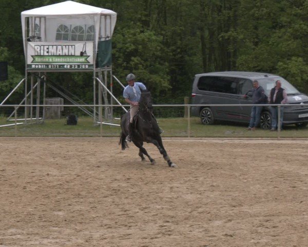 Reitturnier Büren 2025