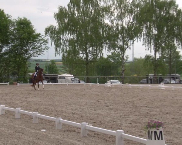 Reitturnier Landenhausen 2025