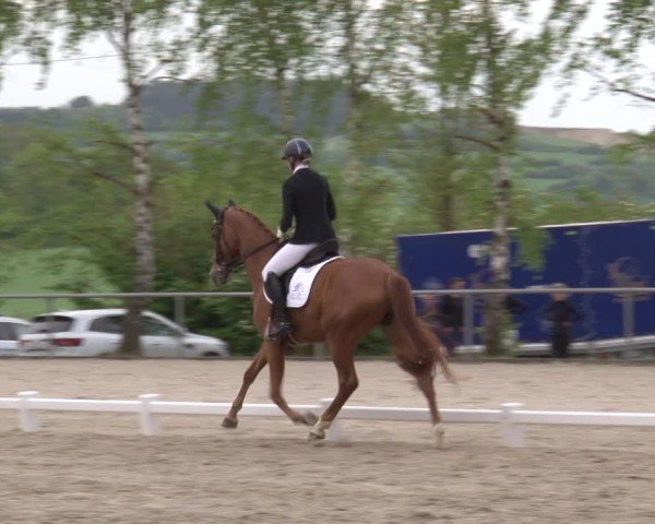 Reitturnier Landenhausen 2025