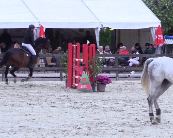 Reitturnier Looperholz 2025