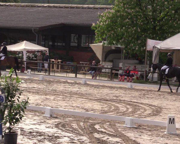 Reitturnier Havixbeck 2025