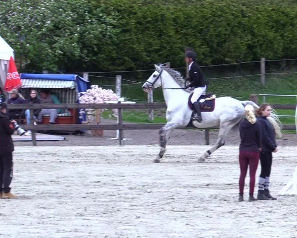 Reitturnier Looperholz 2025
