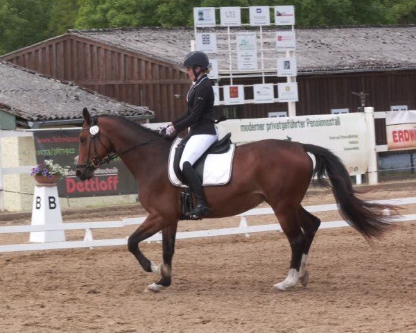 Reitturnier Teupitz 2025