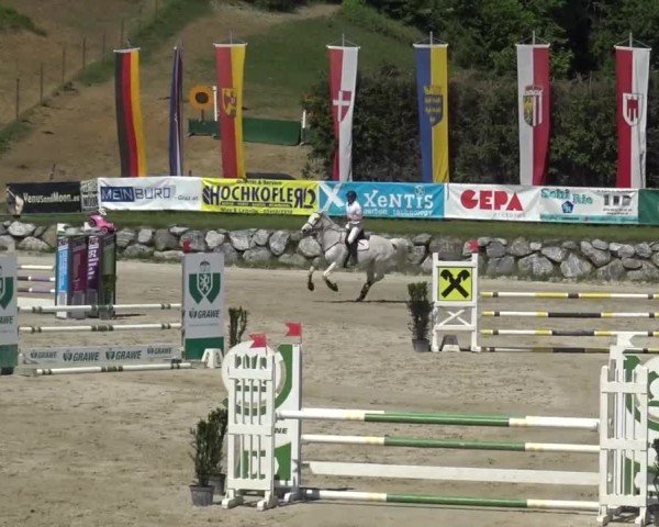 Reitturnier Preding 2025