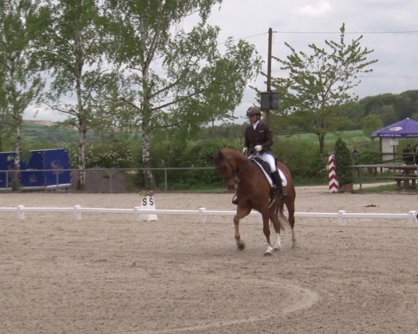 Reitturnier Landenhausen 2025