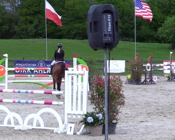 Reitturnier Looperholz 2025