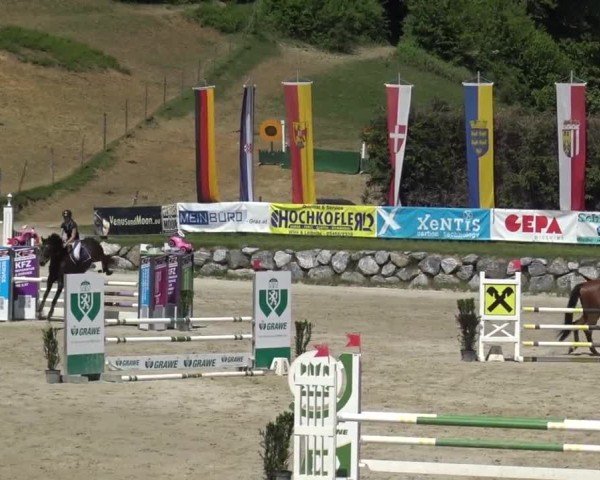 Reitturnier Preding 2025