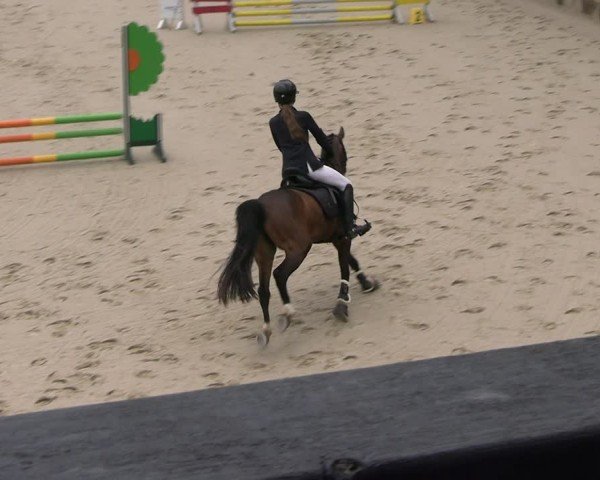 Reitturnier Uder, Reitanlage Kobold 2025