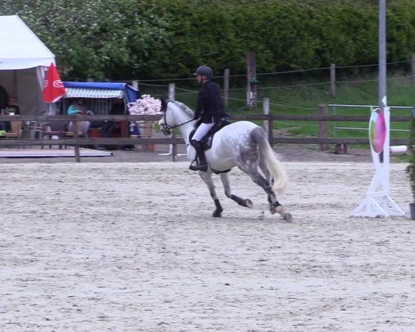 Reitturnier Looperholz 2025