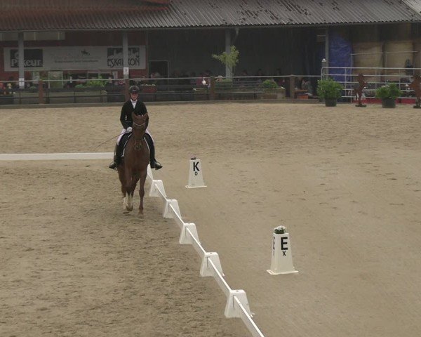 Reitturnier Uder, Reitanlage Kobold 2025