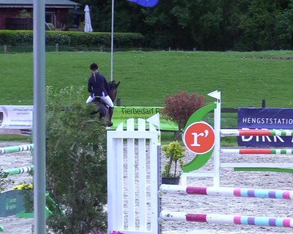 Reitturnier Looperholz 2025