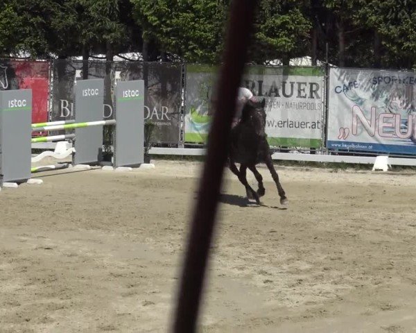 Reitturnier Preding 2025